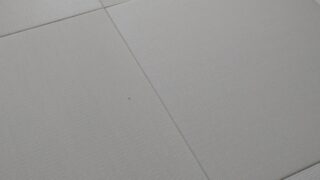摂津市　琉球畳　大建和紙白茶本間丈長　千里丘