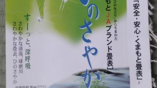 高槻市　熊本産ひのさやか麻綿Wと障子張替え　3回目のリピーター様です(^^♪