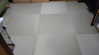 茨木市　橋の内　琉球畳と襖張替え