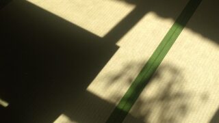 高槻市　奥天神町　和紙畳入れ替え幅広