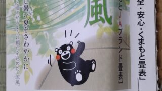 高槻市　松が丘　熊本産涼風糸特表替え　追加分