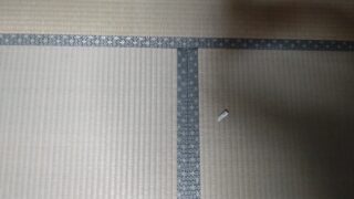 高槻市　真上町　本間熊本産綿Wひのみどり表替え　即日仕上げ