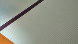 高槻市　国産畳熊本産　座敷と玄関　天神町