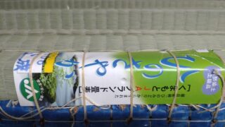 茨木市畳替え　 熊本産ひのさやか麻綿W表替え　上野町