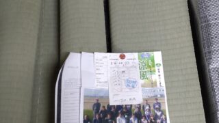 高槻市　畳替えと障子　熊本産JAS1級同等品と雲竜4倍強度張替