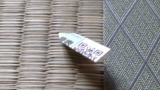 池田市　住吉ビューハイツ　新調畳と新調襖入れ替え