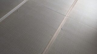 高槻市　お寺の居間新調畳