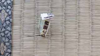 八尾市　新調畳　熊本産ひのみどり　天王寺屋