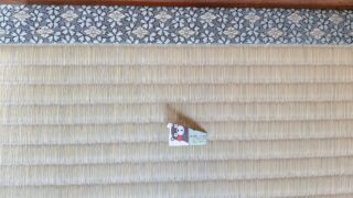 高槻市 塚脇 熊本産幅広ひのみどり品種新畳入れ替え