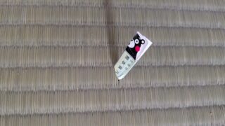 高槻市　幅広襖と畳張替　熊本産ひのみどり綿W