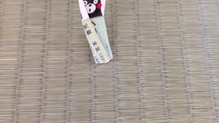 高槻市緑が丘 畳と襖の張替