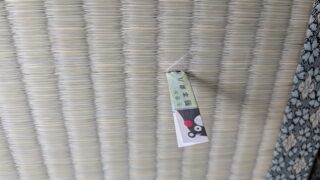 高槻市 真上町 熊本産ひのみどり綿W表替え リピーター様です(^^♪