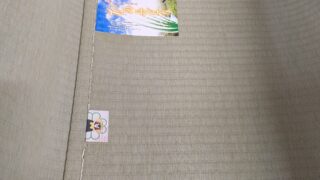 豊中市 新千里 熊本産新調畳 ひのみどり綿W特表