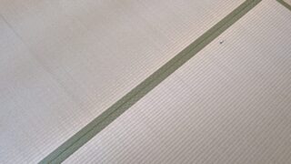 高槻市芥川町 熊本産本間涼風糸引き表替え