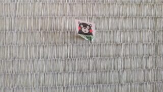 高槻市　南芥川町　熊本産綿W新畳と障子丈長4倍強度張替