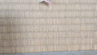 高槻市 塚原町 ランフォルセ 熊本産糸引き新調入れ替え