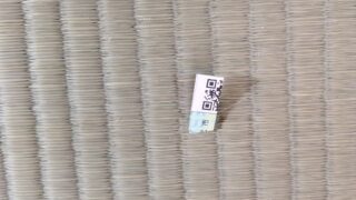 高槻市 西之川原 熊本産ひのみどり麻綿W新調入れ替え