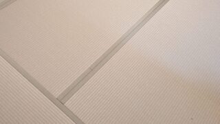 茨木市大池町　新調畳と襖張替　リピーター様です
