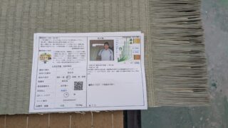 高槻市　熊本産JAS1級新畳　坂井さん作　リピータ様です♪