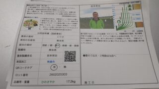 滋賀県 野洲市国産畳表替え ひのさやか岩本さん作