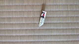 茨木市駅前町 新調畳と障子張り替え 熊本産ひのさやか麻綿W新調